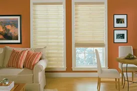 Motorized Cellular Shades
